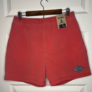 Chubbies 5.5” Athloungers LARGE - Rizzberries